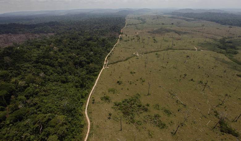 Brazil Builds Carbon-Spewers to Simulate ‘Climate Change’ Killing the Amazon