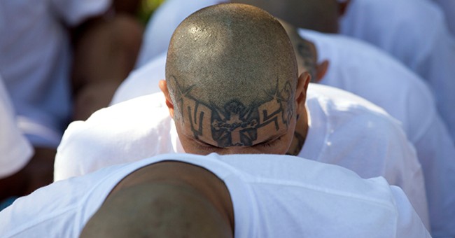 Border Patrol Arrests MS-13 Gang Member Who Had Just Illegally Crossed Into the US