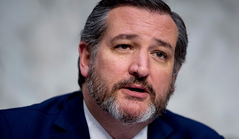 Ted Cruz Explains the Vote on the Relief Bill and What We Can Expect Now That It's Passed