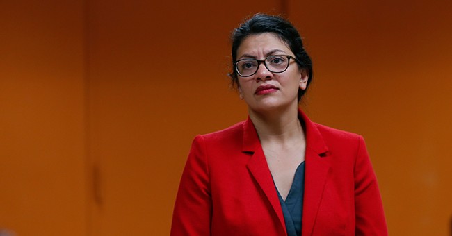 'Squad' Member Rashida Tlaib Made Thousands in Rental Income Despite Advocating for Cancelling Rent