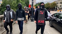 Dems: The Antifa Party