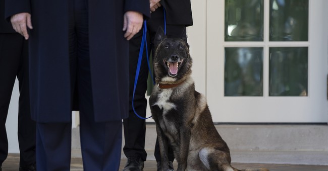 CNN Did Not Air Hero Dog Conan's Visit to the White House Live