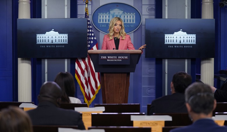Media Becomes Triggered After Kayleigh McEnany Fact Checks Twitter Over Mail-In Ballot Fraud Claims