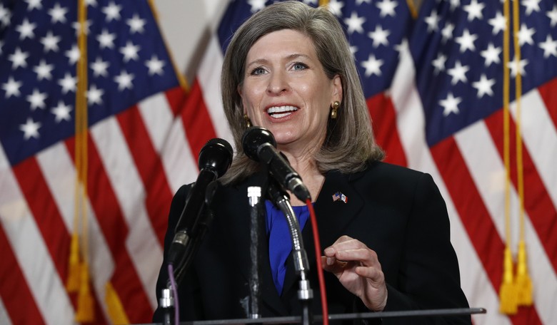 Joni Ernst Proposal Would Restart Border Wall Construction