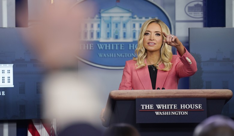 Boom: Kayleigh McEnany Dropkicks Chris Wallace Over Suggestion That Journalists Shouldn't Be Questioned