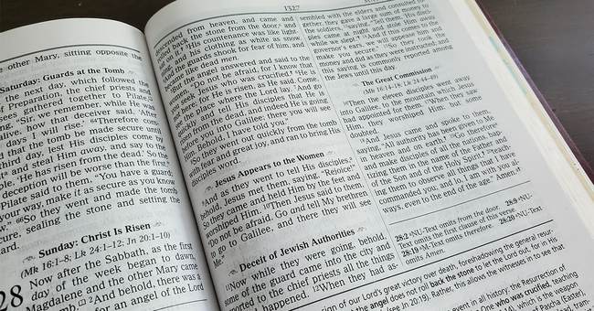 A Quick, Compelling Bible Study Vol. 21 – 'I AM' Edition
