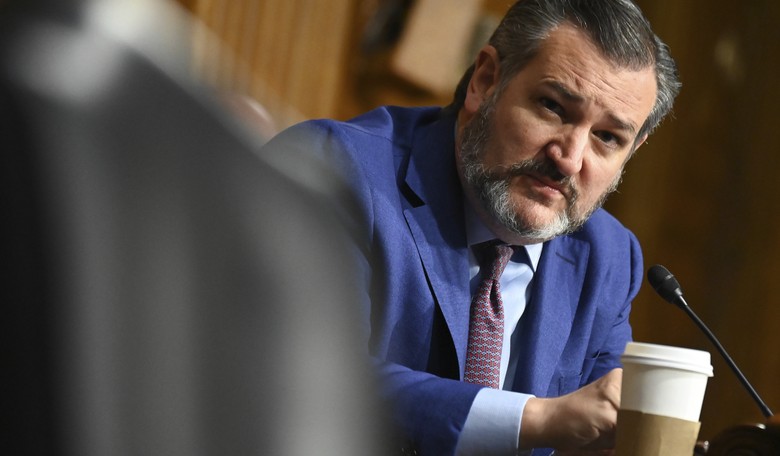Ted Cruz Absolutely Takes Rod Rosenstein's Head off During Senate Testimony