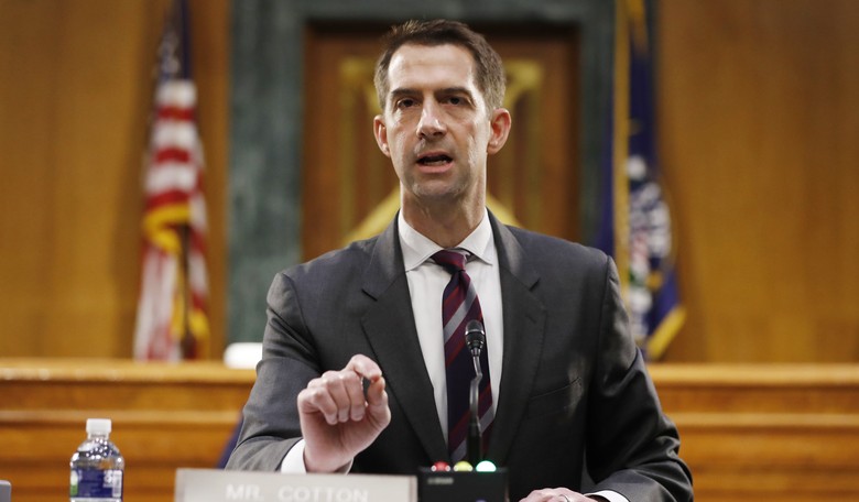Why Tom Cotton Is Wrong to Try and Legislate The 1619 Project