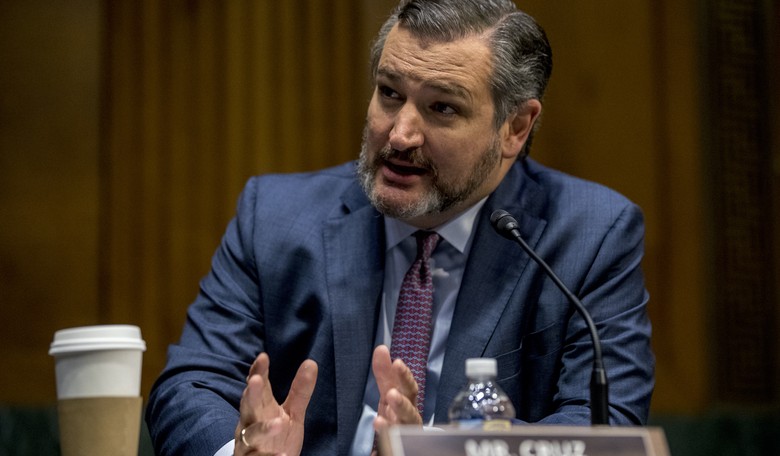 Ted Cruz Draws a Line in the Sand on Those Who Commit Voter Fraud