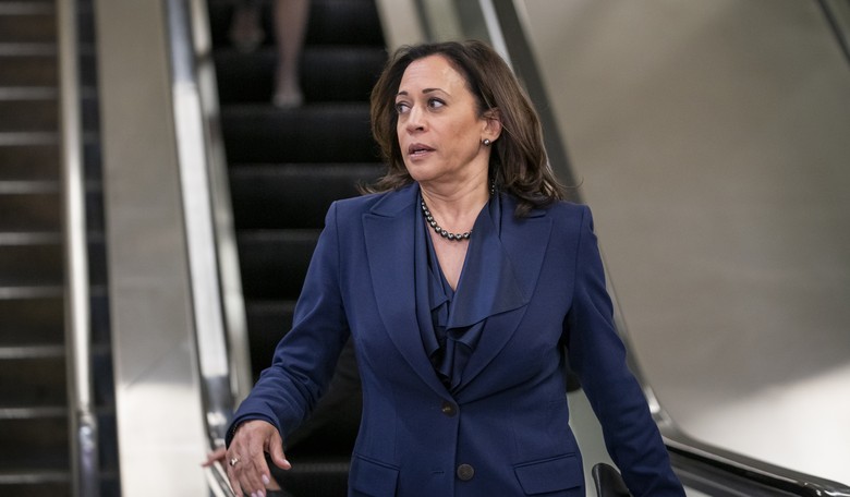 Wikileaks Links Document File on Kamala Harris, Liberals Freak Out
