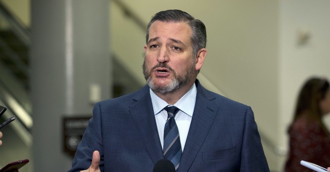 Major Player in Texas Politics Calls on Sen. Ted Cruz to Resign
