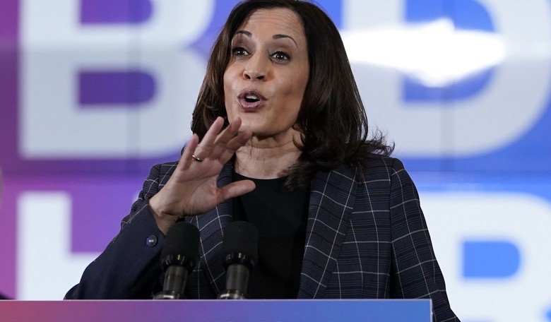Zelensky's Former Press Sec Levels Kamala Over Cackling on Refugee Question