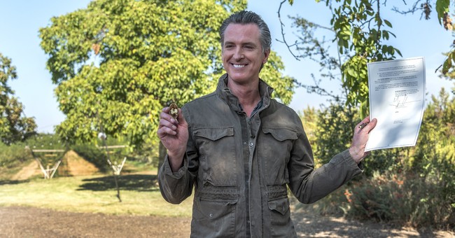 Newsom Breaks His Own Rules to Party It Up in Napa Valley