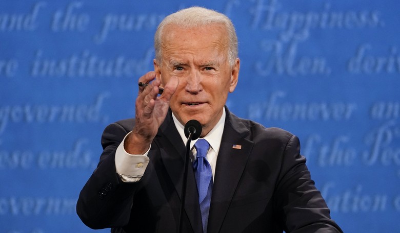 Daily Beast Gains Insight Into Biden Presidency Through A Pet Psychic Who Communed With His Dogs