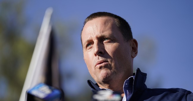 Grenell Has a Theory About Who's Running a 'Shadow Presidency' in the Biden Administration
