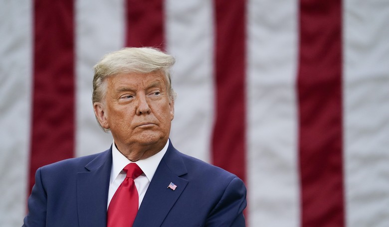 The Dumbest Case Against Trump's Election Challenges Gets Made
