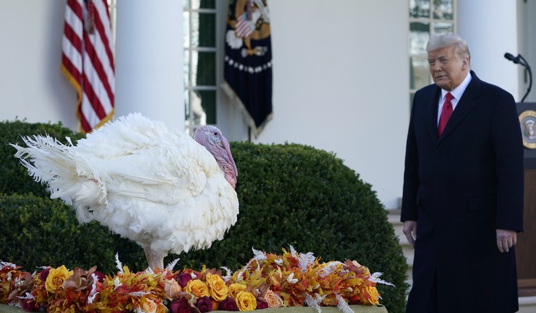 Happy Thanksgiving! 14 Things Conservatives Can Be Grateful For