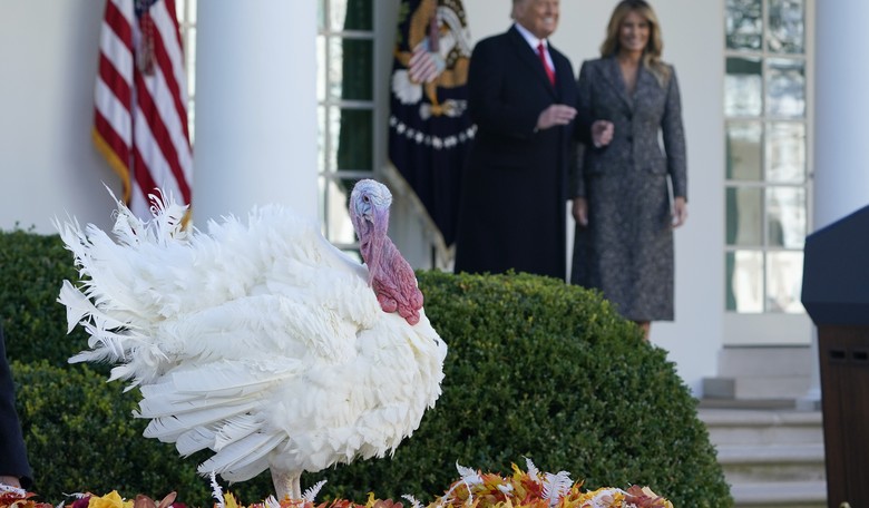 Thanksgiving Is the Uniquely American Holiday
