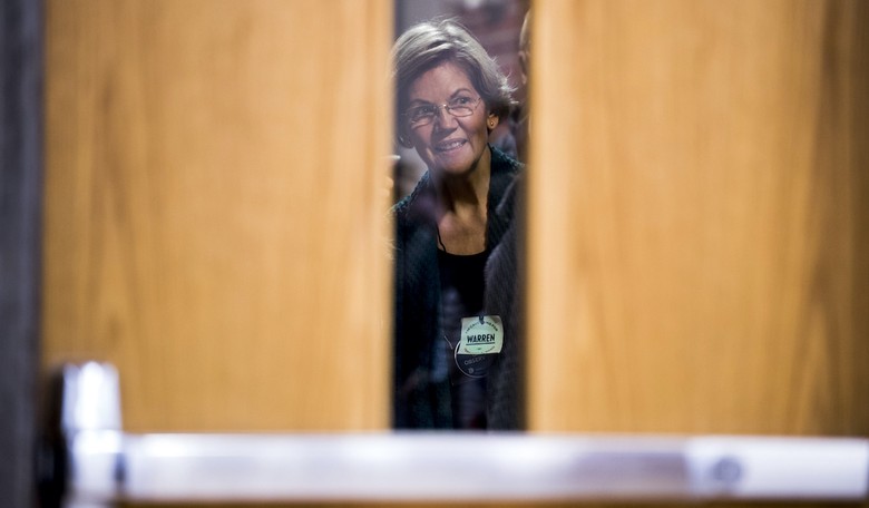 Obamas, Eat Your Hearts Out: MSNBC Calls Elizabeth Warren a Most Powerful Democrat Now That She's Out