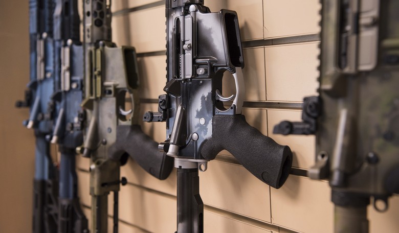 Unprecedented Gun Control: Democrats in Government Are Trying to Disarm Young Americans