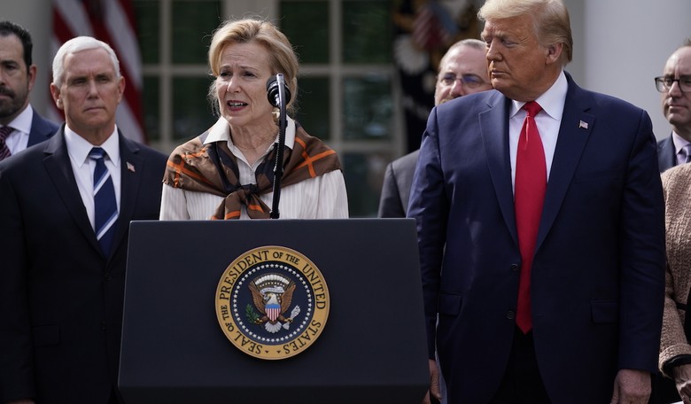 A Coordinated Effort Is in Play With the Press to Discredit Dr. Deborah Birx for Complimenting President Trump