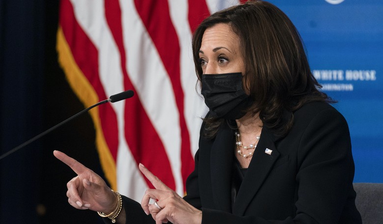 NH GOP Chair torches Kamala's plan to visit, Border Czar headed to the wrong border