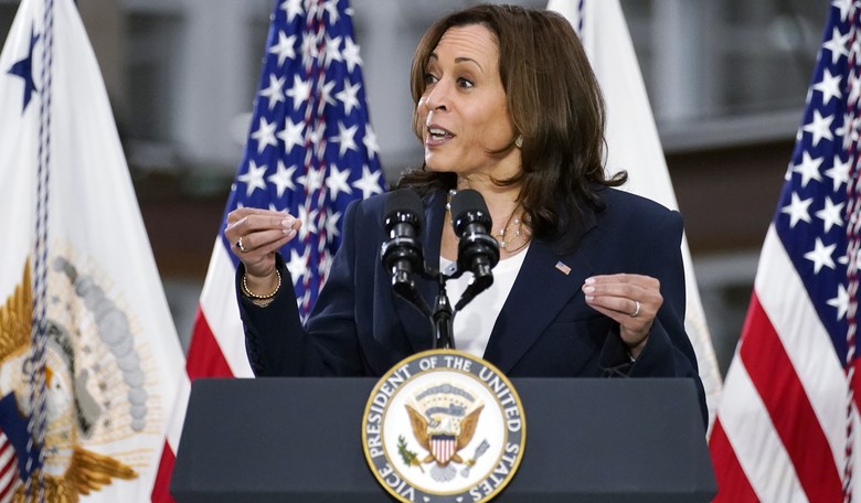 Famous Singer's Granddaughter Claims Kamala Harris 'Bullied' Mother and Took Away Estate