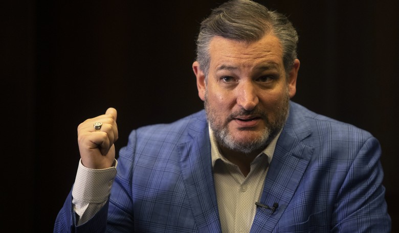 Ted Cruz Spills the Tea on Backroom Democrat Campaign to Replace Dianne Feinstein