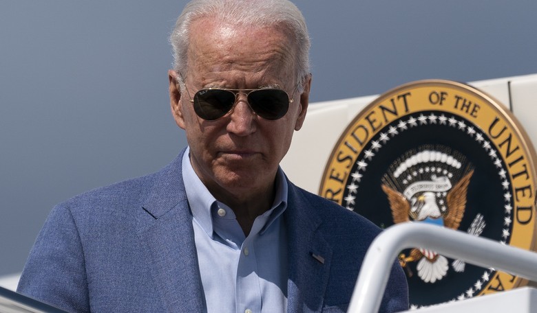 Let's Just Admit Why Biden Was Elected, America