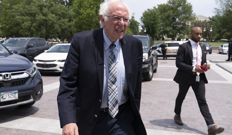 Bernie Sanders Is Pretending to Be a Fighter Again
