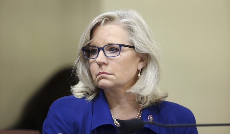 Liz Cheney Shows Us Once Again Why Nobody Likes Her