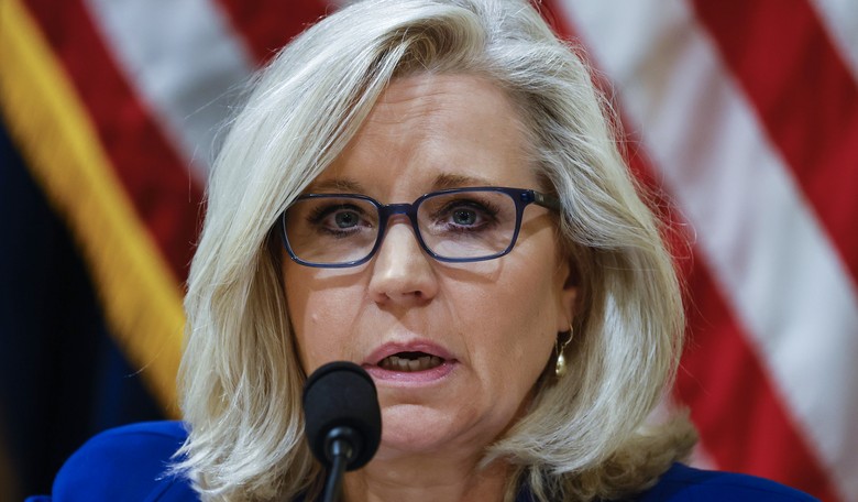 Cheney, Kinzinger Finally Get Spanked and the Left, Never Trump Can't Deal