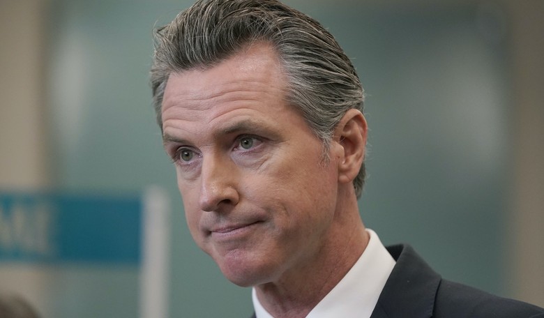 Newsom's Vineyard: California Investigates Illegal Immigrants' Arrival by Plane, With Paperwork Allegedly From Florida