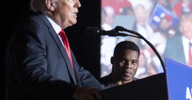 Why Donald Trump Wants His Twitter Account Back