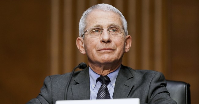 'Contaminated': Doctor Blasts Fauci's 'Elitist' Claim That Criticizing Him Is Somehow an Attack on Science