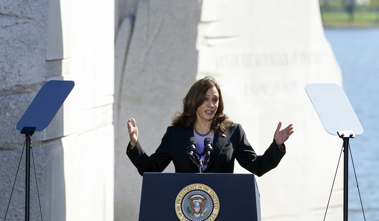 Democrats Playing the Race Card to Defend Harris Shows How Desperate They Are