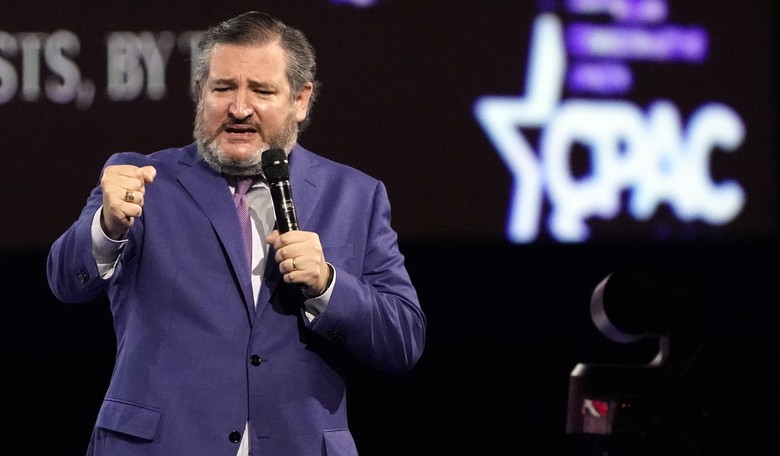 Ted Cruz Pledges Not to Take Corporate PAC Money: 'Your Woke Money's No Good Here'