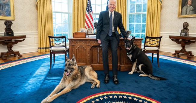 Biden's Dog Got Violent at the White House