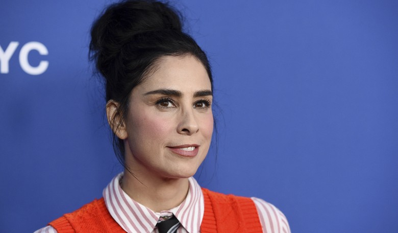 Sarah Silverman Goes Off the Reservation on Iron Dome