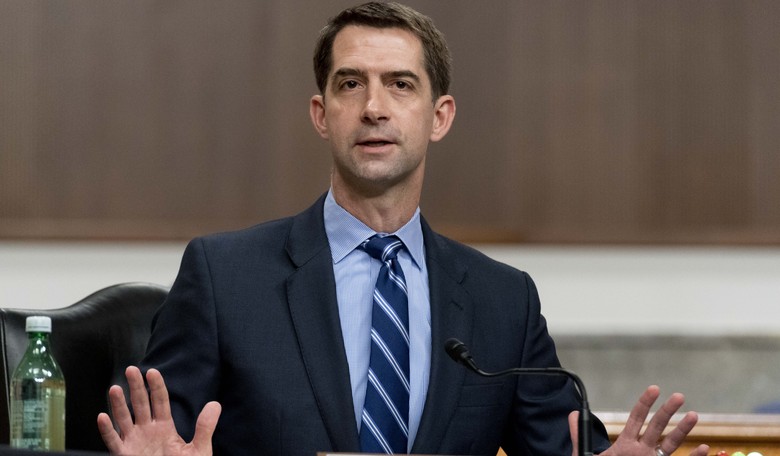 Tom Cotton's Response to Kamala Harris' Border Failures Should Be the Default for All Republicans