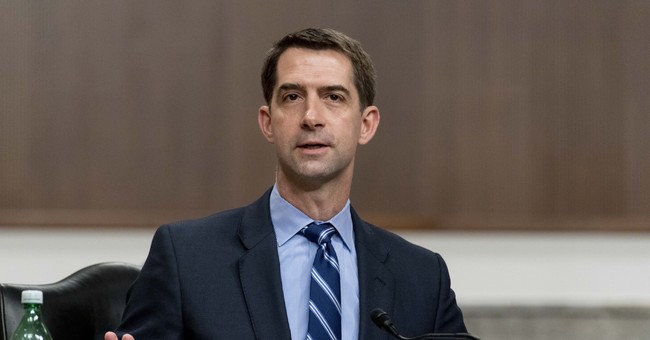 Tom Cotton Grills Biden DOJ Nominee for Spreading False, Race Based Info About Police Shootings 