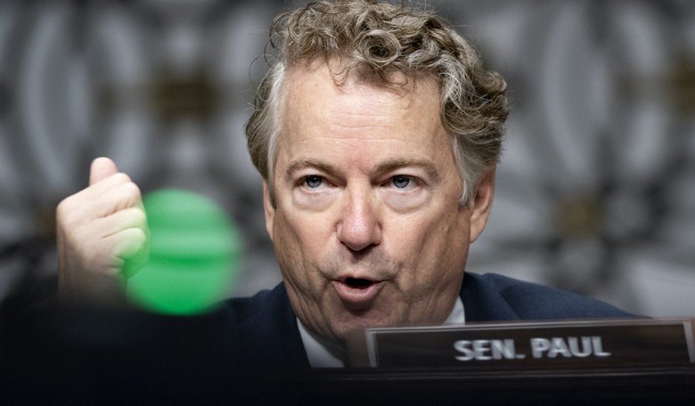 If The GOP Wins The Senate, We May Be In For A Lot More Rand Paul Versus Anthony Fauci