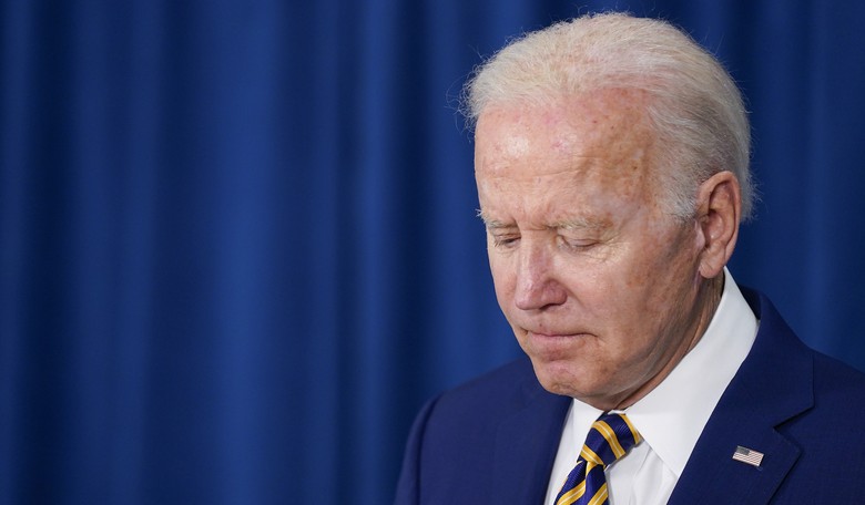 Dozens of Deaths Averted as Joe Biden Names Monkeypox Czar