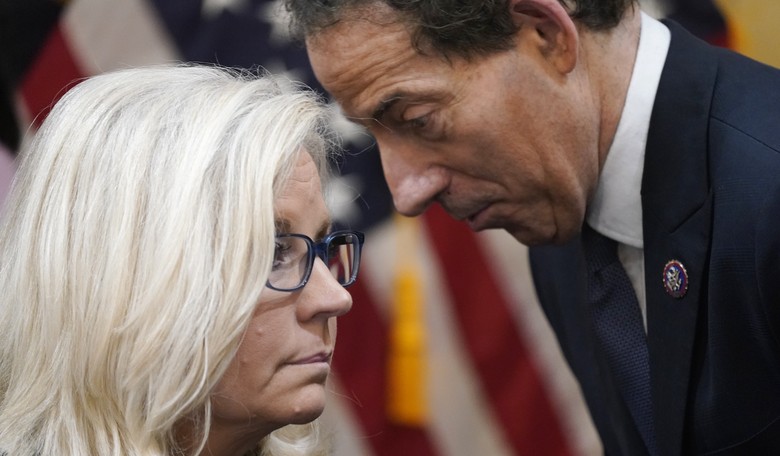 New Secret Service Comment About Actions of J6 Committee Shows How Partisan It Is