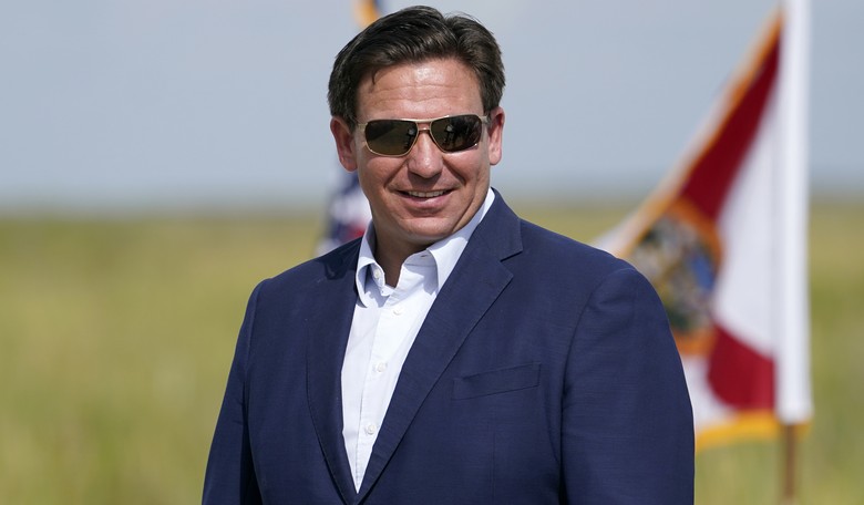 Ron DeSantis Foe Rebekah Jones Has Her Latest Grift Shut Down in Glorious Fashion