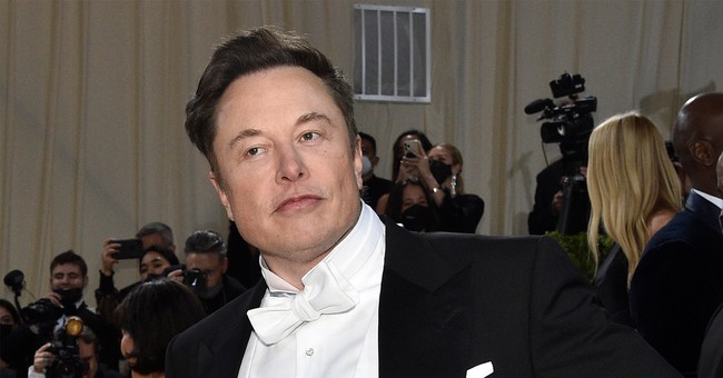Elon Musk's Creepy 'Telepathic Typing' Monkey Showcases Brainchip Musk Wants for Humans