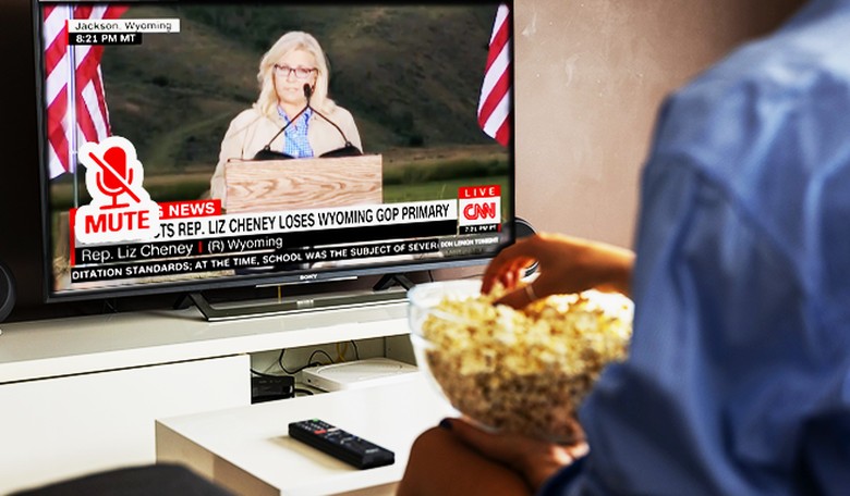 As Liz Cheney Sides With the Dems She Furthers the ‘True Conservative’ Practice of Never Promoting Conservatism