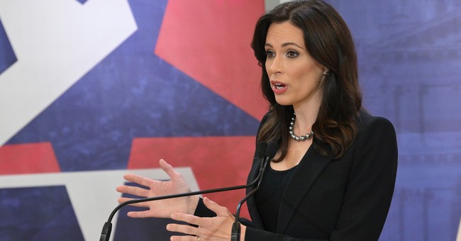 Former Candidate Tudor Dixon Strikes Back at Incompetent Michigan GOP Leadership