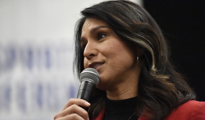 Tulsi Gabbard Lands Another Solid Jab on Kamala Harris as SCOTUS Battle Heats Up