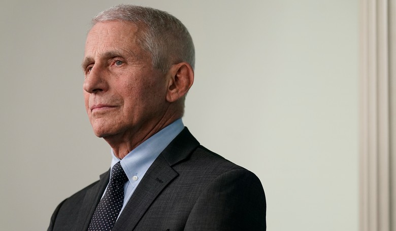 Elon Points a Finger at 'Creepy' Detail About Fauci in NYT Farewell Article